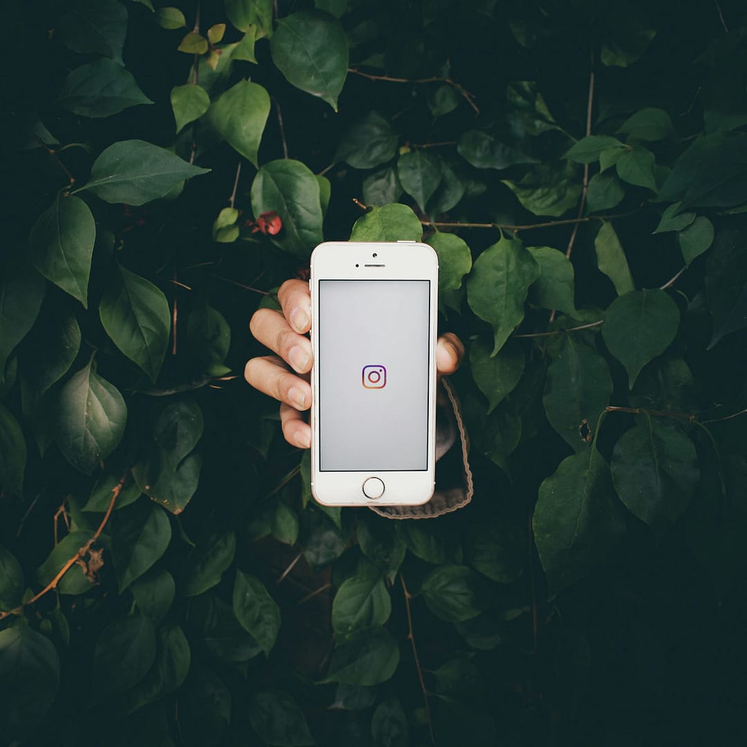 How to use Display Purposes (like a human) to grow your Instagram account