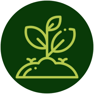 seedling-AMP-uses seedling-AMP-uses