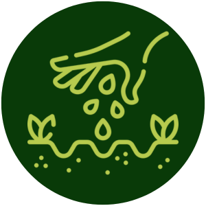 seeds-AMP-uses seeds-AMP-uses