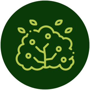 shrubs-AMP-uses shrubs-AMP-uses