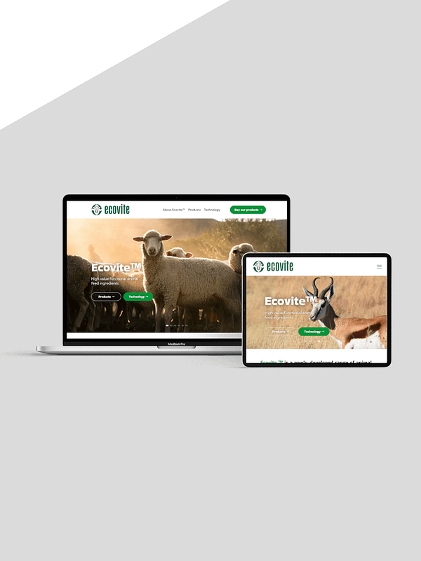 ecovite mockup